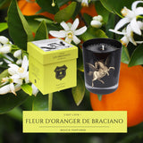 Bougie Parfumée Fleur d'Oranger de Bracciano